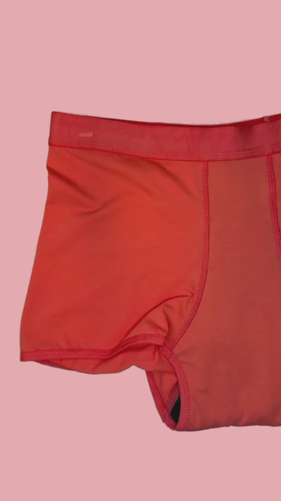 Ado NIKKI Boxer Coral